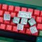 GMK Watermelon 104+25 PBT Dye-subbed Keycaps Set Cherry Profile for MX Switches Mechanical Gaming Keyboard